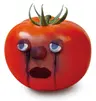 복실님의 프로필 사진