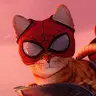 Profile picture of Spidermeow